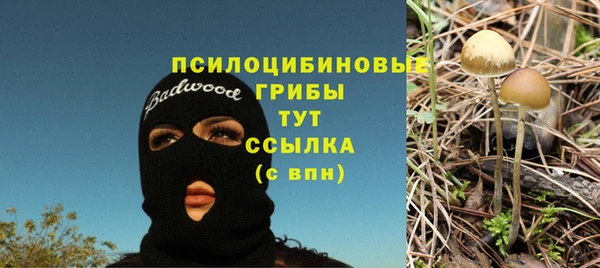 гашик Верхний Тагил